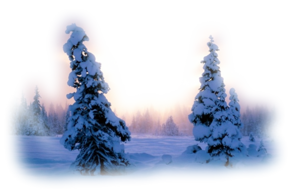 Hiver 03