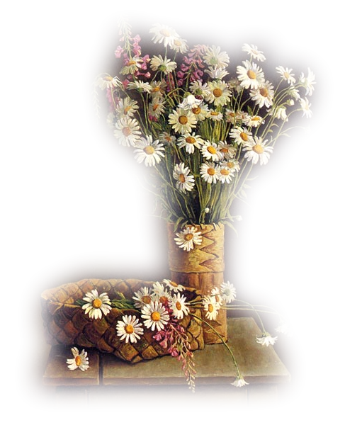 Nature morte 66